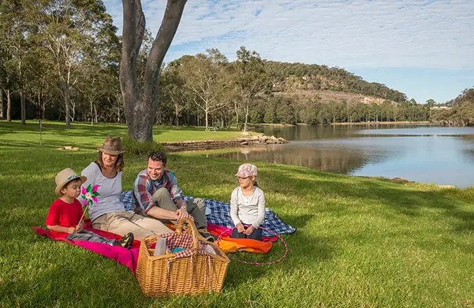 Family Picnics & Gatherings​