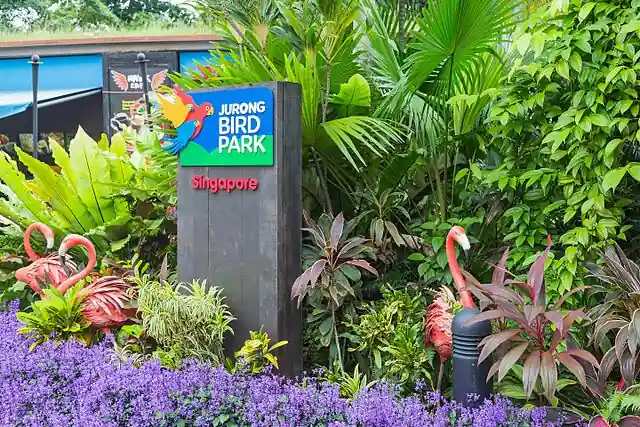 Jurong Bird Park (now Bird Paradise)​