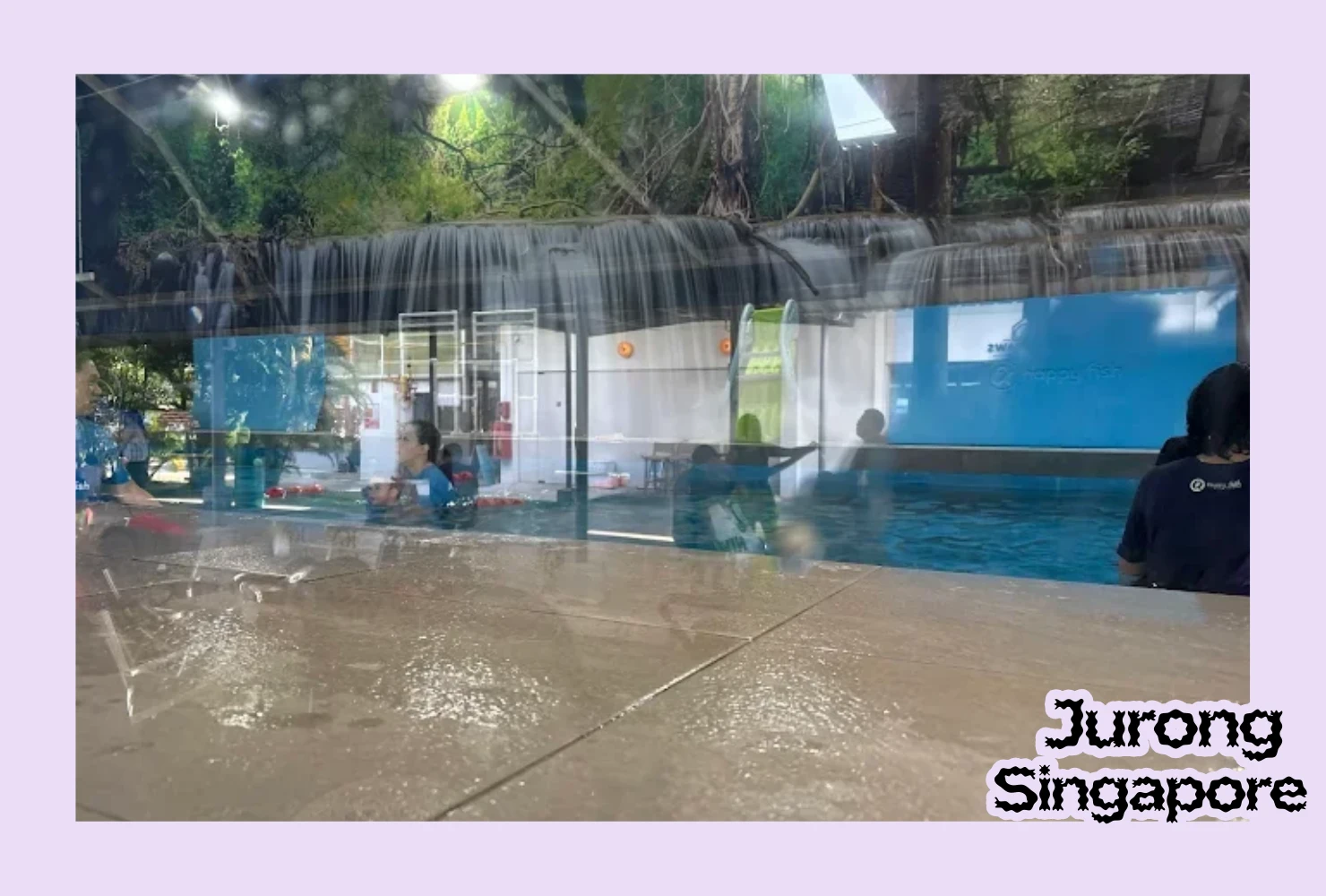 Happy fish swim school