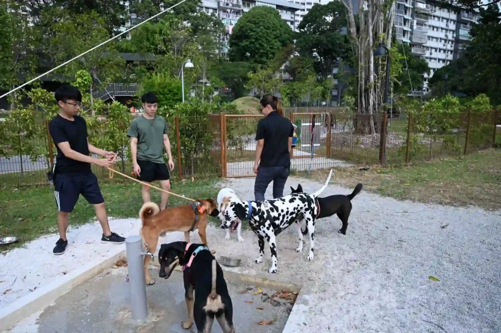 jurong lake dog runs & pet-friendly areas​