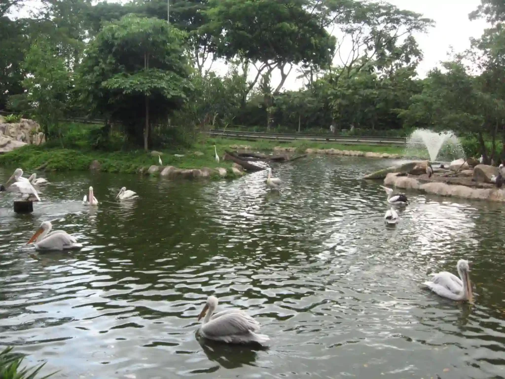Prawning Ponds & Leisure Activities​
