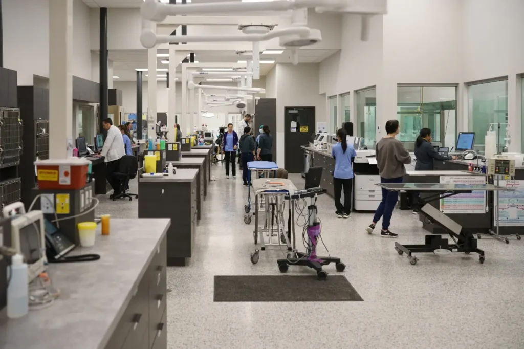 Specialty Wards & Clinical Departments​