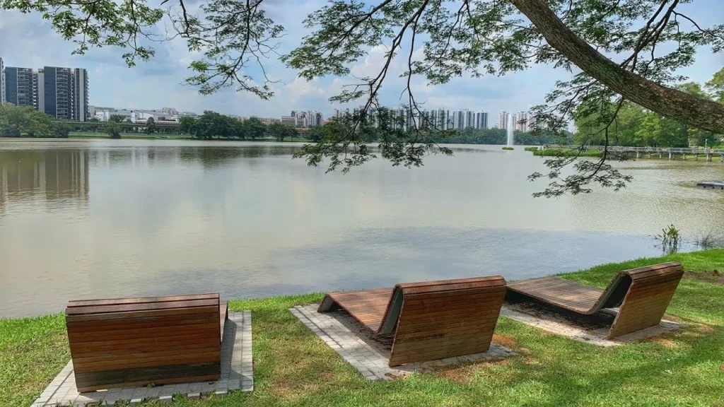 weather considerations​