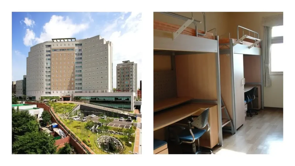 Description of the Dormitory and Its Capacity​