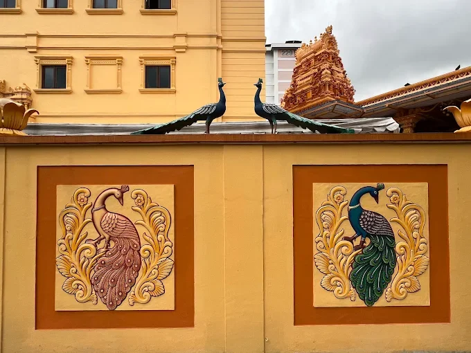 facilities and visitor experience​