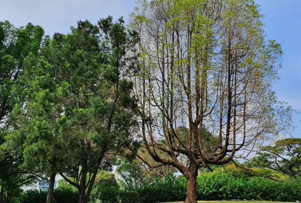 key landmarks and hubs in the area