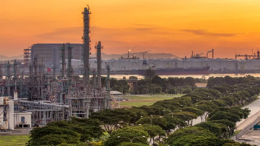 Role in Petrochemical & Energy Sectors​