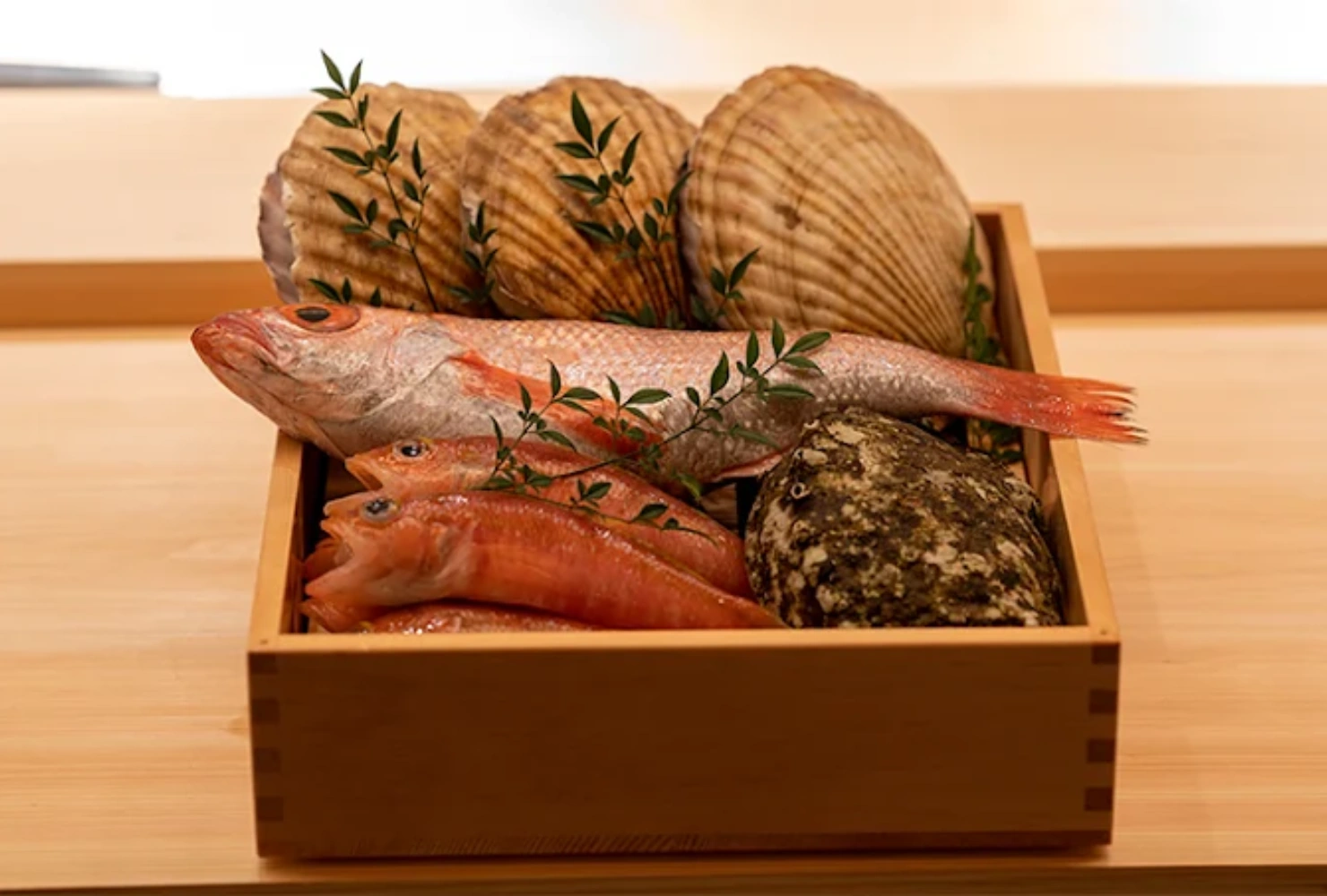 a wooden box containing fresh seafood a red fish, several smaller fish, scallops, and a stone, accented with green leaves on a light table.