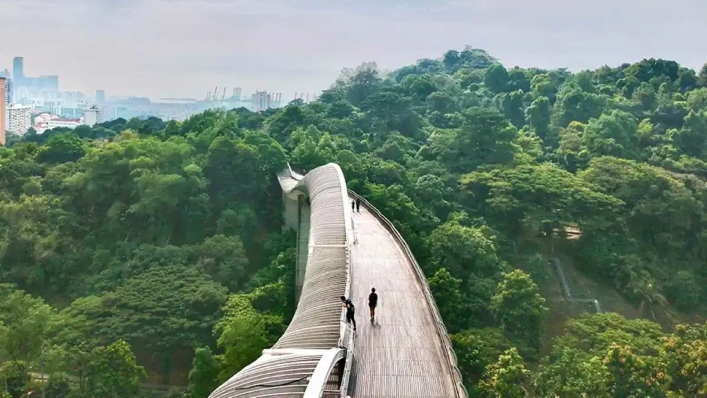 Hike Jurong Hill Park