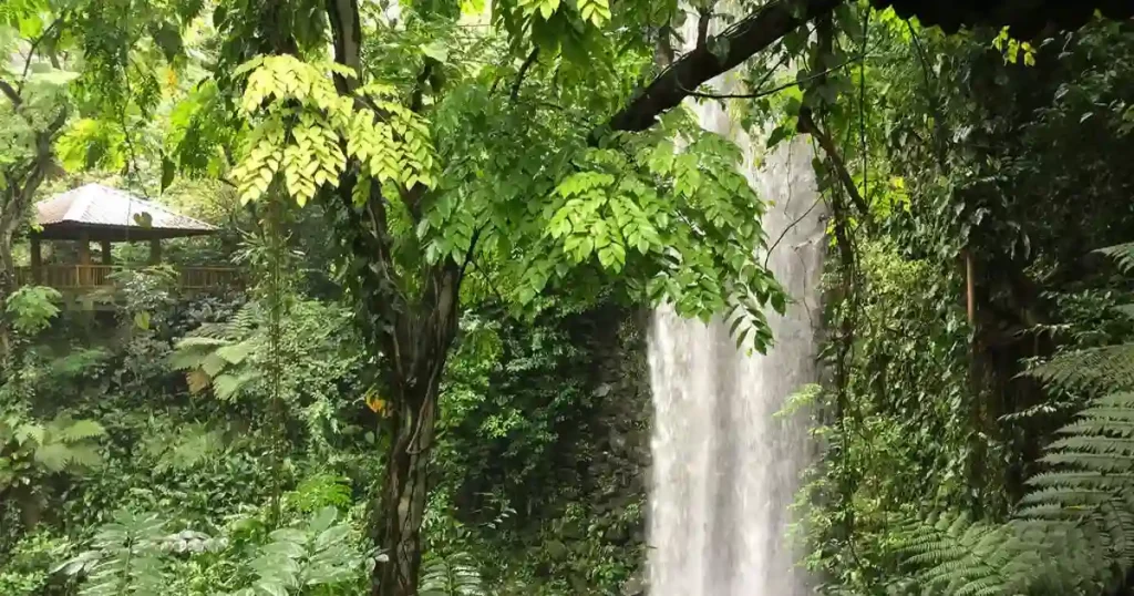 See Jurong Falls