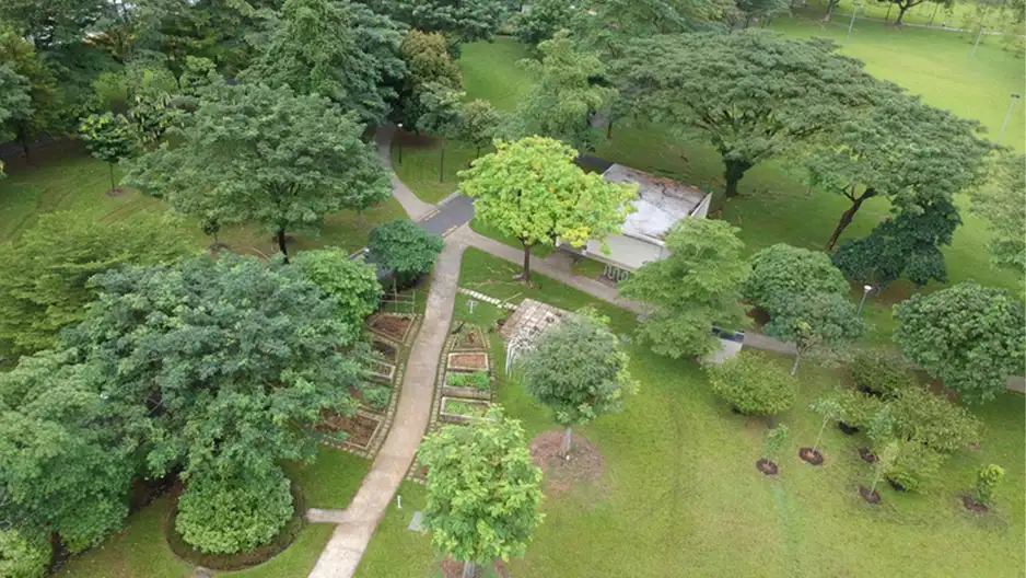 Unwind at Jurong Central Park