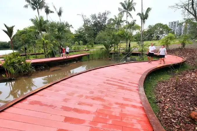 Walk the Boardwalks at Jurong Eco Gardens