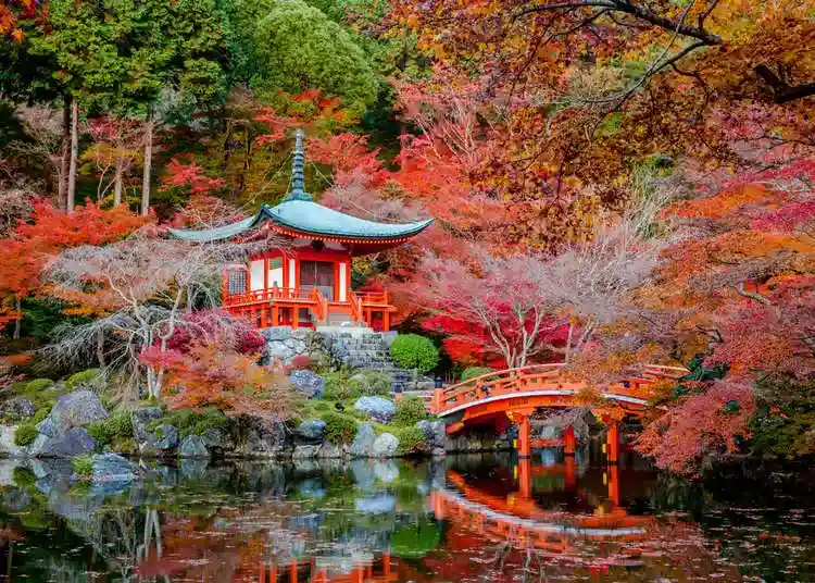 the Japanese Garden