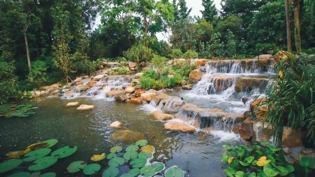 the Nature Garden & Wetlands